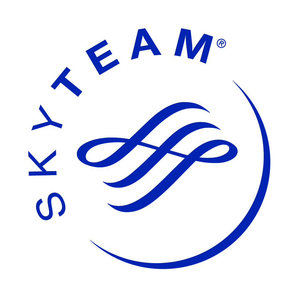 skyteam_logo_whitebg
